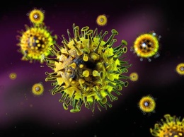 Вспышка гриппа наложится осенью на пик коронавируса