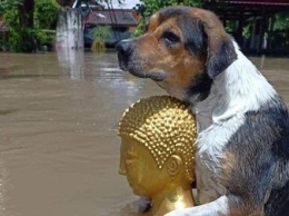 Таиланд страдает от наводнений