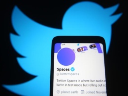 Twitter упрощает поиск комнат Spaces по темам