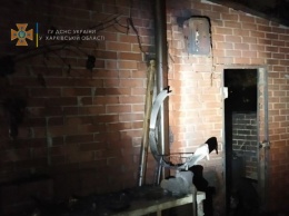 В Харькове сгорела летняя площадка кафе