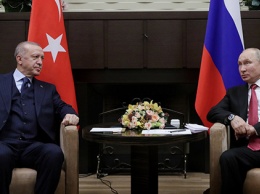 Путин посоветовал Эрдогану ревакцинироваться "Спутником", но президент Турции отказался