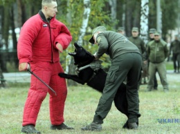 Поиск оружия и задержание преступников: под Киевом провели соревнования служебных собак