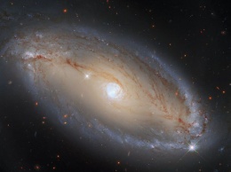«Хаббл» снял галактику с невероятно активным ядром