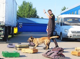 Одесские таможенники-кинологи прошли спецподготовку по поиску контрабанды