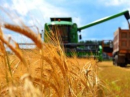 Аграрии Днепропетровщины могут воспользоваться правительственной программой поддержки