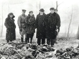 Установлены имена нацистов, причастных к убийствам в Бабьем Яру
