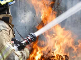 Запорожские спасатели привели убийственную статистику о пожарах