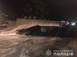 Появились виде и фото автомобиля DAF, который устроил громадную пробку на дороге в Николаевской области