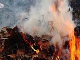 Вредит окружающей среде, здоровью и угрожает штрафами: жителям региона напомнили о запрете сжигать опавшие листья