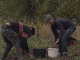 Сельские школьники вместо уроков копают картошку