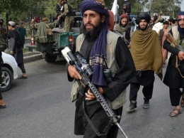 Талибы запретили живую музыку на свадьбах в Афганистане