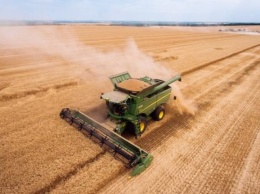 На Харьковщине собрали урожай зерновых и зернобобовых на 83% площадей