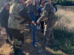 В рамках акции «Сохраним лес» в Крыму высадили 1,1 га крымской сосны