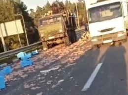 Окорочка по всей дороге: в Житомирской области столкнулись три фуры