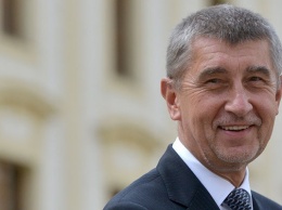 На выборах в Чехии побеждает правящая партия