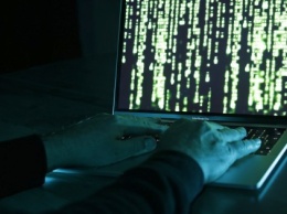 Хакерам за год заплатили около полумиллиарда долларов - Белый дом