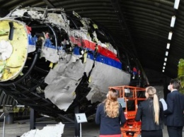 Суд по делу о катастрофе малазийского рейса МН17 над Донбассом продолжится 1 ноября