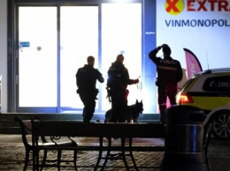 Полиция Норвегии проверит психическое здоровье стрелка, который убил из лука 5 человек