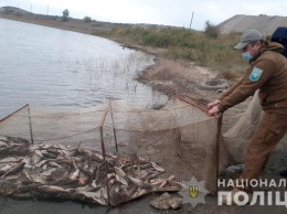 Браконьер в Мариуполе выловили рыбы на более чем 2 млн гривен (фото)