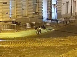 Во Львове полиция ищет неизвестную женщину, которая ночью покрасила бордюры в зеленый цвет (ВИДЕО)