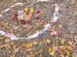 Кости, круг из соли и "кровь" в стаканах: в парке Памяти и примирения провели магический ритуал
