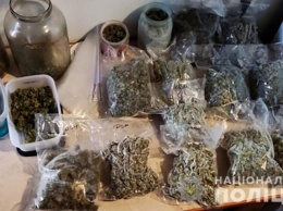 Дед с племянником выращивали и поставляли коноплю в Киев: полиция изъяла наркотиков на 1 000 000 гривен