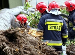 В Польше из-за урагана погиб украинец