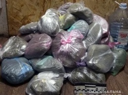 В Запорожской области мужчина хранил дома наркотики на сумму полмиллиона гривен