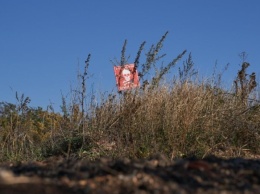 На Донбассе оккупанты активизировали минирование местности в тылу, - разведка