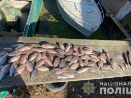 Житель Беляевки попался на незаконном вылове рыбы: ущерб превысил 100 тысяч гривен