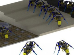 Роботы-муравьи могут маневрировать в сложных условиях и коллективно выполнять задачи