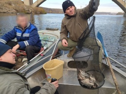 В Запорожье рыбоохранный патруль оштрафовал рыбаков на 90 тысяч