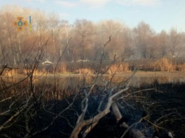 Под Харьковом третьи сутки тушат масштабный пожар