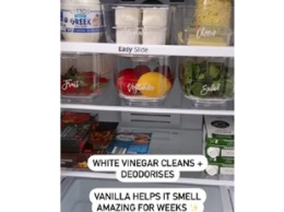 Как убрать запах и грязь из холодильника: лайфхак блогерши покорил Instagram