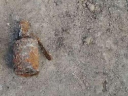 В Кривом Роге на территории учебного заведения откопали гранату