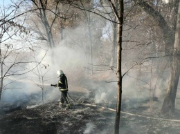 В Никополе и районе спасатели тушили пожары в экосистемах