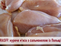 В Одесскую область завезли партию импортной курятины, зараженной сальмонеллой