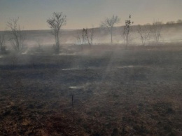 Под Кривым Рогом горели гектары сухой травы