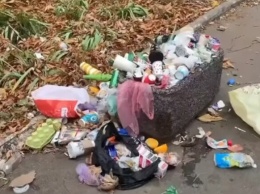 Свалки прямо на тротуарах: в Аркадии "забывают" вывозить мусор