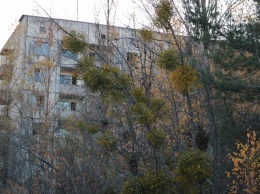 В Чернобыльской зоне практически отсутствует мобильный интернет 4G