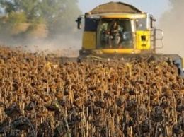 В Днепропетровской области заканчивают уборку поздних зерновых