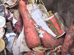 С-стихийщики: торговцы на рынке засоряют мусорные баки гнилыми овощами