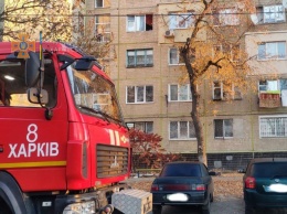 В Харькове спасли людей, которые задыхались от едкого дыма