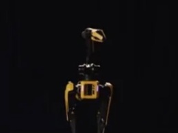 Роботы-псы Boston Dynamics станцевали под музыку The Rolling Stones