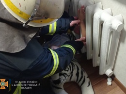 На Днепропетровщине спасатели помогли маленькой девочке высунуть руку из радиаторной батареи