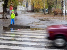 В Никополе украли пластикового мальчика, «переходящего» дорогу
