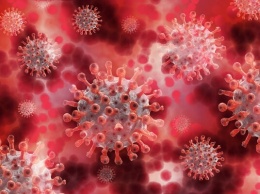 Ученые нашли универсальное антитело против коронавирусов