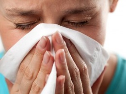 Симптомы очень похожи: как отличить аллергию от ОРВИ