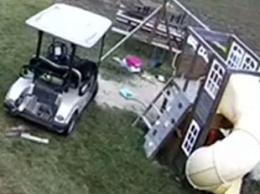 Пес угнал гольф-кар и устроил аварию - вычислить хулигана помогла камера видеонаблюдения