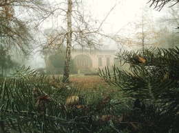Тлен, туман и запустенье: как в «ЛНР» поживает старинная панская усадьба (фото)